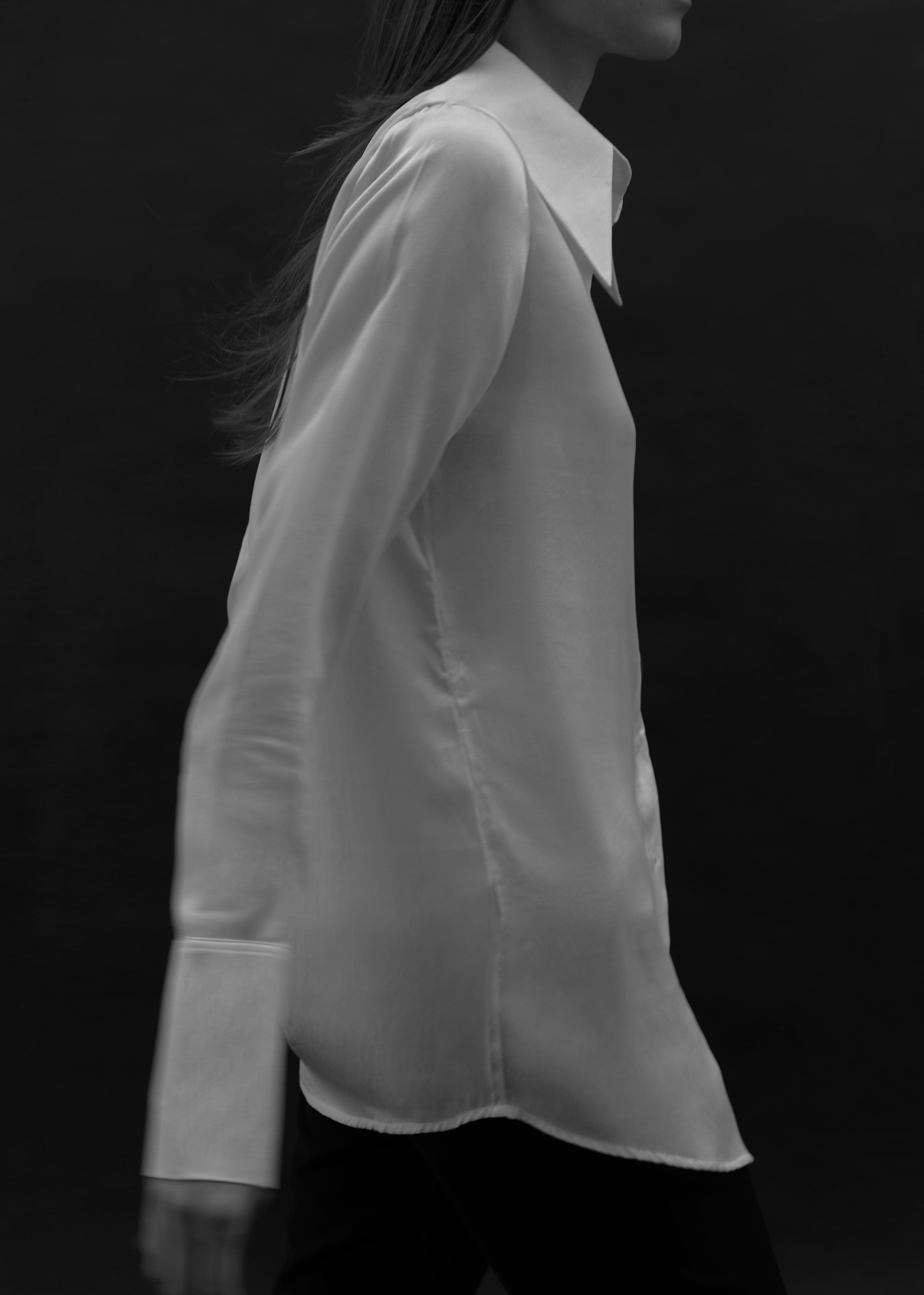 The Silk Blouse, view 11