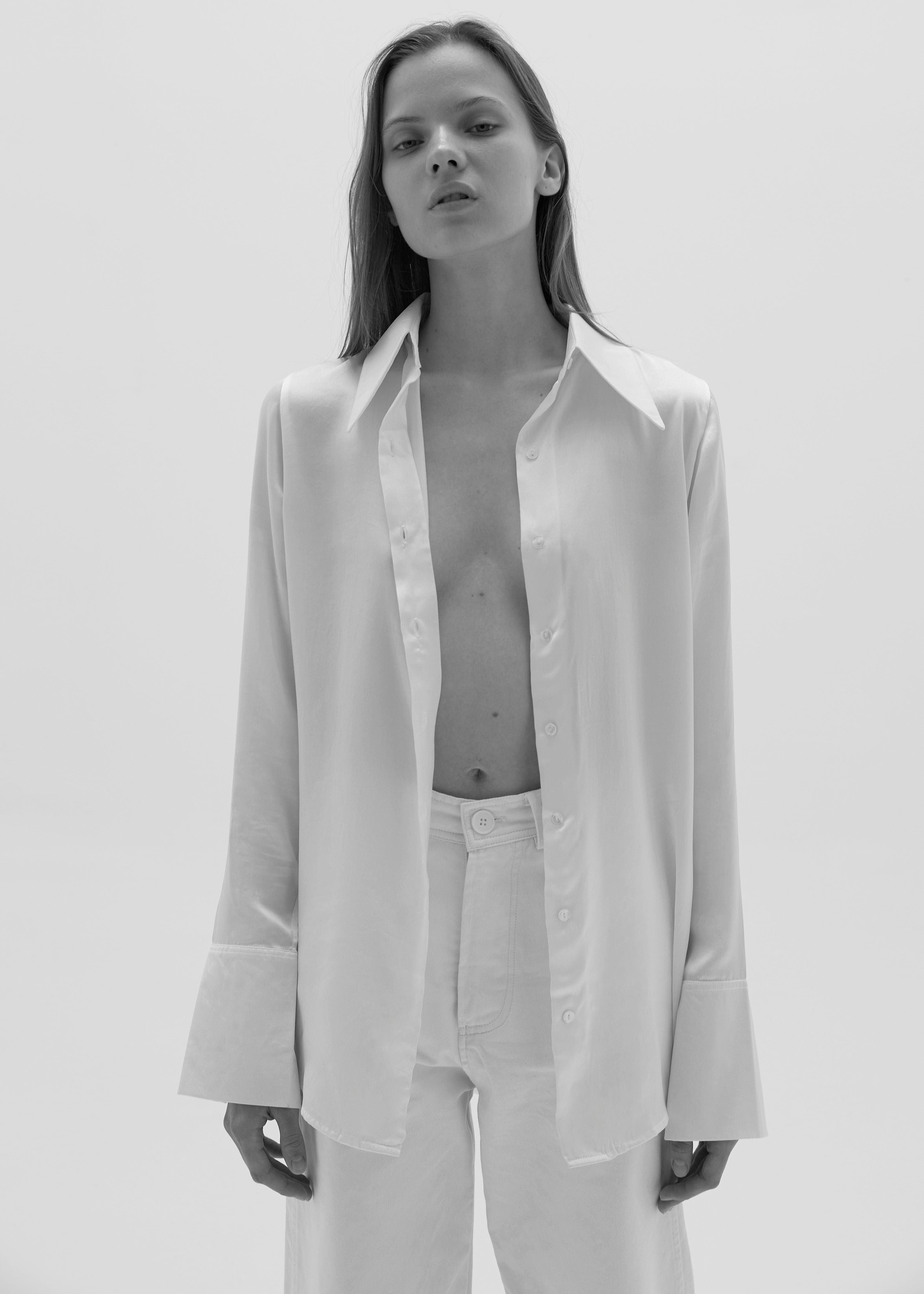 The Silk Blouse, view 10